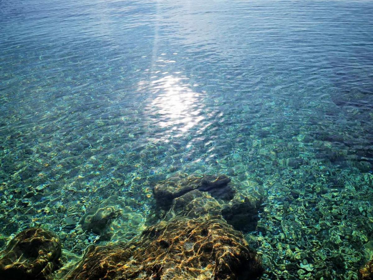 Leilighet Ira Dubrovnik